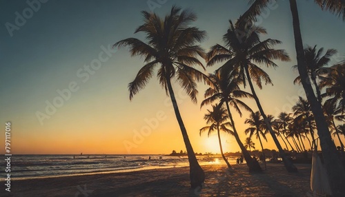 palm trees on beach against sky during sunset