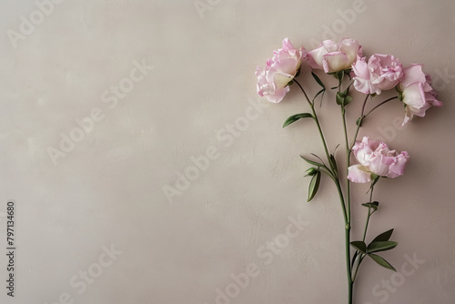 elegant light pink roses on neutral textured background for mothers day floral arrangements, with copy space for text