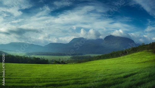 panoramic natural landscape with green grass field blue sky with clouds and mountains in background © Lucia