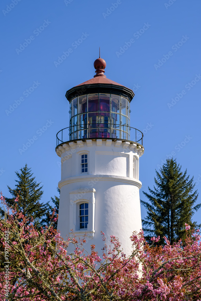 Umpqua Lighthouse and Cherry Blossoms along Oregon coast