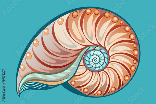 The intricate spiral shell nautilus, with its pearly interior and delicate chambers
