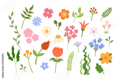 Cute flowers and leaves set. Vector illustration. Floral botanical elements isolated on white background. Hand drawn natural meadow flower objects