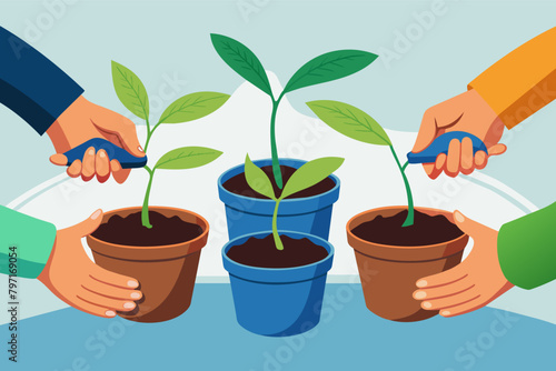 A pair of hands carefully transplanting seedlings into larger pots, providing them with room to grow