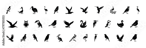 Set of black bird silhouettes. Vector elements for design. Detailed bird black silhouettes of different kinds. Sparrow, Eagle, Robin, Hawk, Owl, Duck, Swan, Pigeon, Parrot, Crow, Seagull, Falcon photo