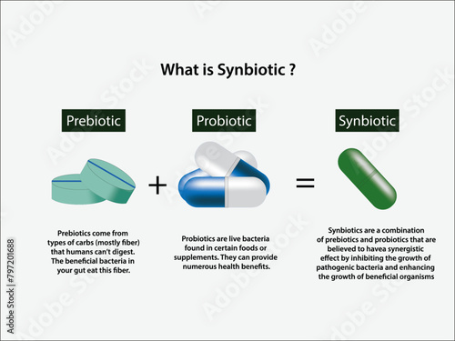 Synbiotics, Illustration of Synbiotic, a combination of probiotics and prebiotics. Living organism. Bacteria. Vector