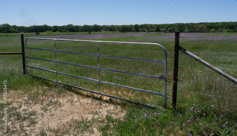 A modern metal gate and barbed wire fence keeps out unwanted visitors to this Texas Hill Country field full of wildflowers. A modern metal gate and barbed wire fence keeps out unwanted visitors to this Texas Hill Country field full of wildflowers.