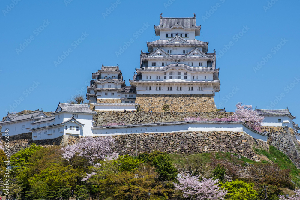 桜の季節 国宝・世界遺産 姫路城