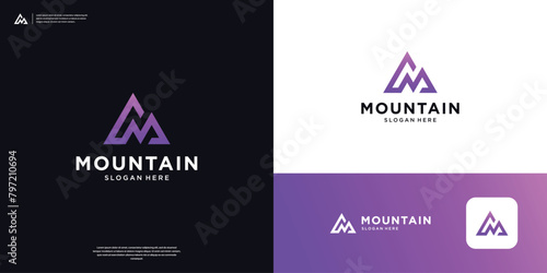 Simple mountain logo with triangular geometric lines.