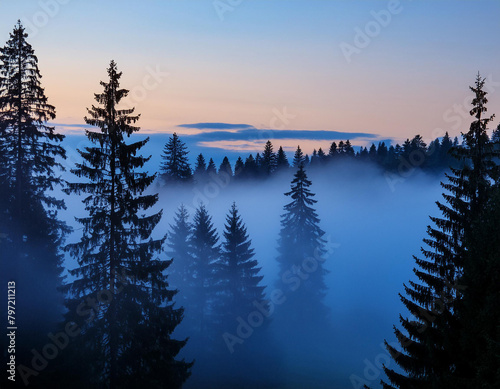 Misty forest at dusk with silhouettes of pine trees © Amli