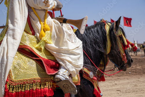 Equestrian Majesty in Morocco - Traditional Tbourida Attire in Detail photo