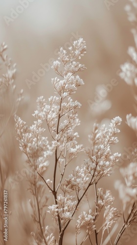 Aesthetic beige photo outdoors blossom nature. © Rawpixel.com