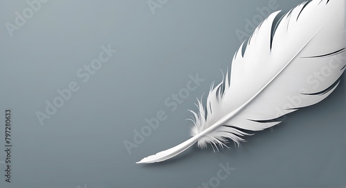 grey background, white Feather