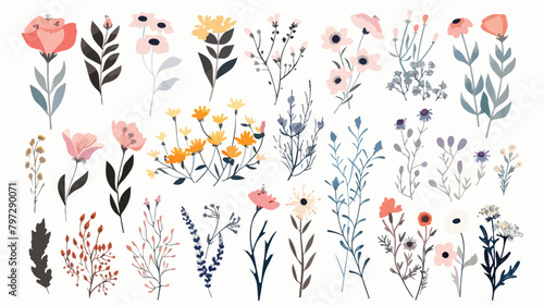 Vector collection of hand drawn floral borders and design