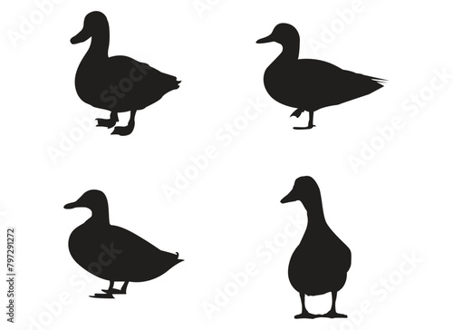 set of silhouettes of duck illustration vector