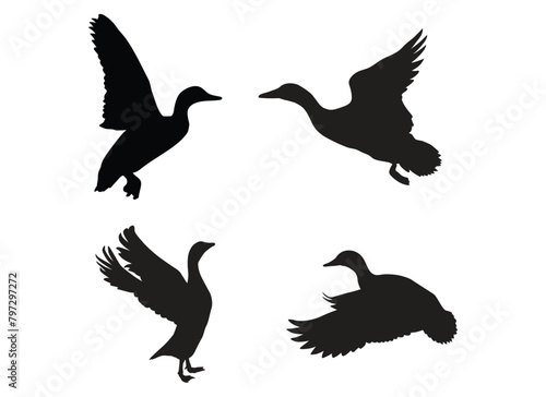 set of silhouettes of duck illustration vector