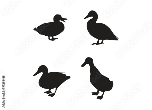 set of silhouettes of duck illustration vector