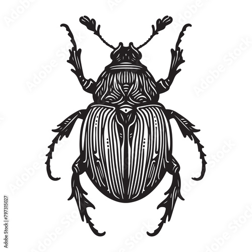 Line art of beetle vector illustration