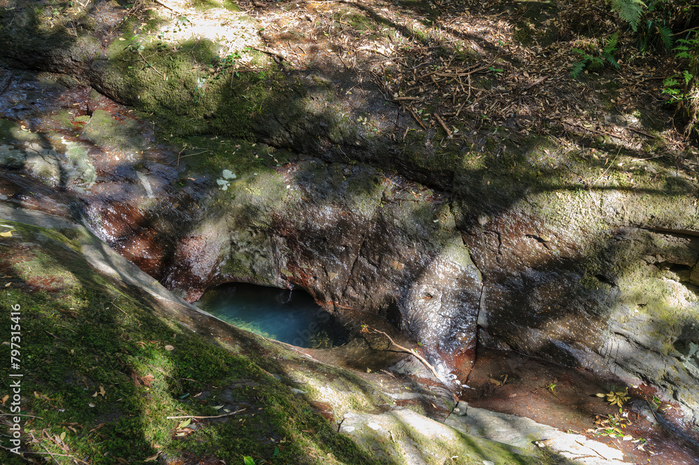 Obraz premium 八丈町天然記念物、こん沢林道甌穴群（ポットホール） 三原山の中腹にあるジャングル地帯。 沢沿いに貴重なポットホール（岩盤を流れる水路にできる穴（くぼみ））地帯、こん沢林道甌穴群がある。 この場所の規模ほどのものは大変貴重で、八丈町の天然記念物に指定されている。散策路は登山道になっているため、登山の装備が必要。 また、雨天時には水量が増すため危険である。航路の終点、太平洋の大きな孤島、八丈島