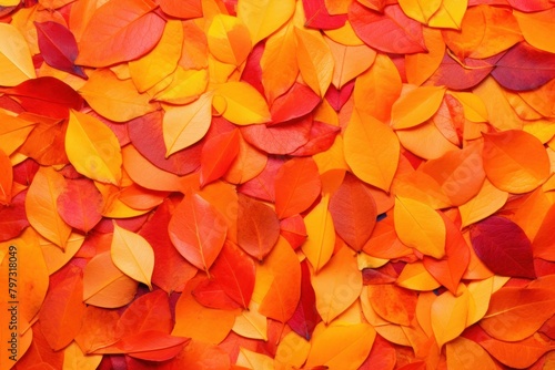 a pile of orange and red leaves © Balaraw