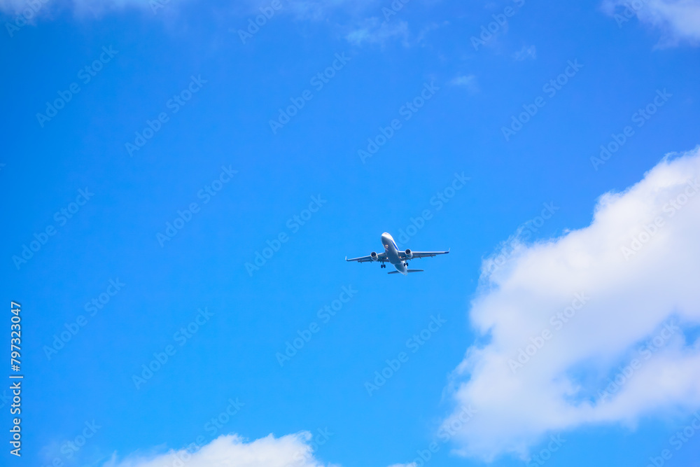 海水浴場のすぐ上を通過してゆく旅客機。
A passenger plane passing just above the beach.
スキンダイビングポイントの底土海水浴場。
航路の終点、太平洋の大きな孤島、八丈島。
東京都伊豆諸島。
2020年水中撮影。
Sokodo Beach, a skin diving point.
Izu Islands, Tokyo. Japan,
Underwat 海水浴場のすぐ上を通過してゆく旅客機。
A passenger plane passing just above the beach.
スキンダイビングポイントの底土海水浴場。
航路の終点、太平洋の大きな孤島、八丈島。
東京都伊豆諸島。
2020年水中撮影。
Sokodo Beach, a skin diving point.
Izu Islands, Tokyo. Japan,
Underwat