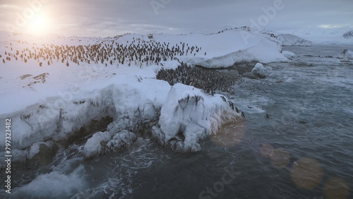 Antarctica Gentoo Penguin Colony Go Ashore Aerial Top View. Antarctic Bird Group Walk on Dangerous Snow Covered Ocean Coast Landscape at Sunset. Arctic Extreme Shallow Top Drone photo