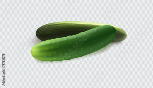 Cucumbers set. Whole fresh cucumber, half, chopped, slices and cucumbers group. Set of cucumber plant parts, leaf, flower. Organic vegetables. Healthy, diet, vegetarian food.