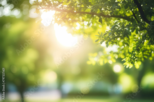 Defocused bokeh background of garden trees in sunny day, summer and spring concept with copy space