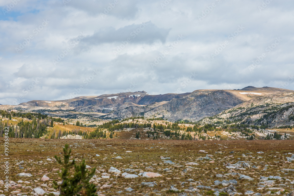 summer mountain landscape with rocky tundra meadow