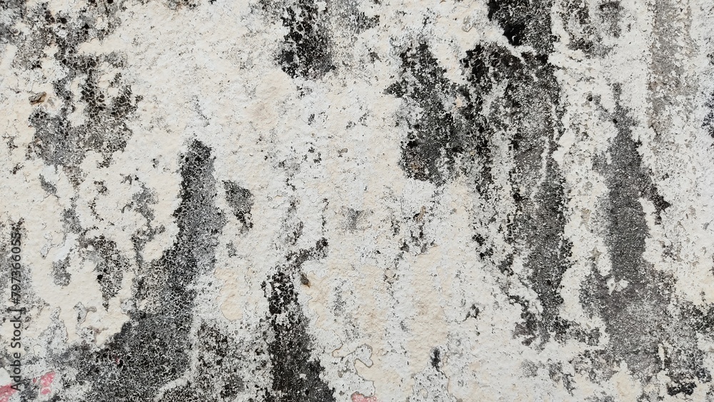 Obraz premium wall