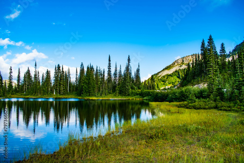 A still Alpine lake  with perfect reflection of the trees on the far side.