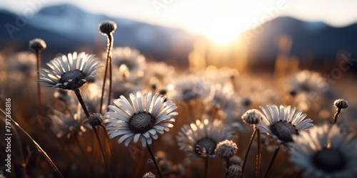 a close up of flowers photo