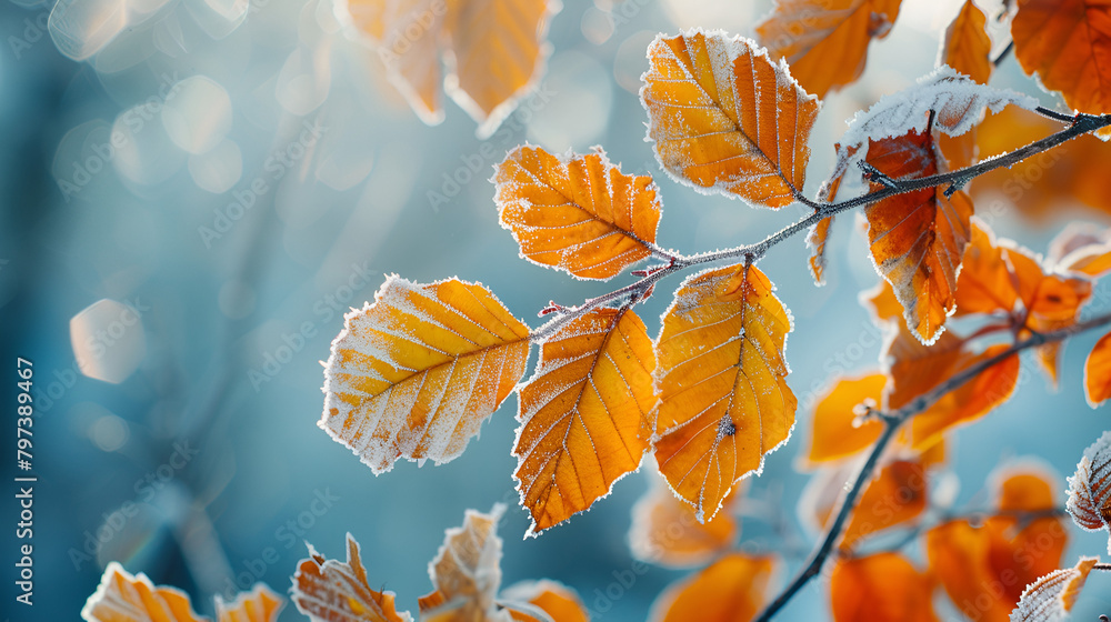 Frozen Leaves,generative ai Frozen Leaves,generative ai