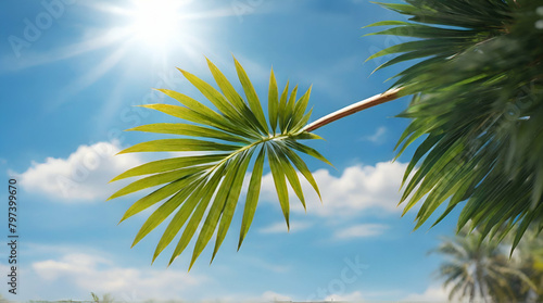 Beautiful tropical nature with coconut palm tree on blue sky and white cloud.Generative.Ai