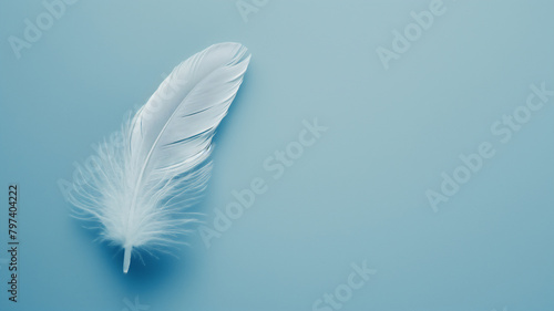Single white feather on a light blue background, symbolizing lightness and purity.