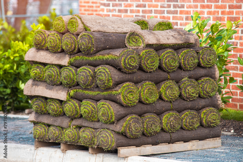Pallet with rolls of sod turf grass. The rolled grass lawn is ready for ...