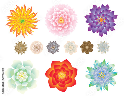 いろいろな形の6種類のカラフルな洋風の花テクスチャーイラスト