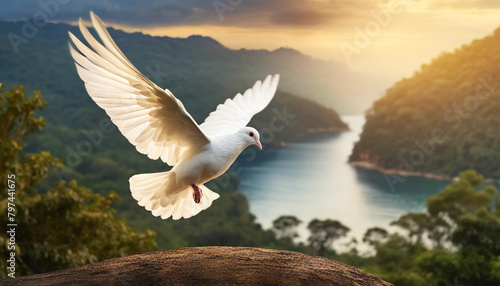 White dove soars in sunlight against dark blue sky, symbolizing freedom and peace, with ocean backdrop