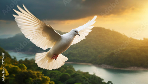 White dove soars in sunlight against dark blue sky, symbolizing freedom and peace, with ocean backdrop © Your Hand Please