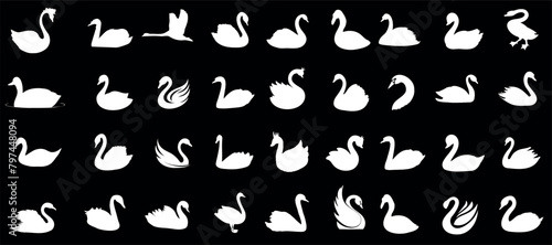 Swan silhouette in diverse poses, white swan vector clipart on black backdrop