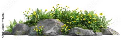 3D render of grass with ferns and yellow flowers isolated transparent background PNG