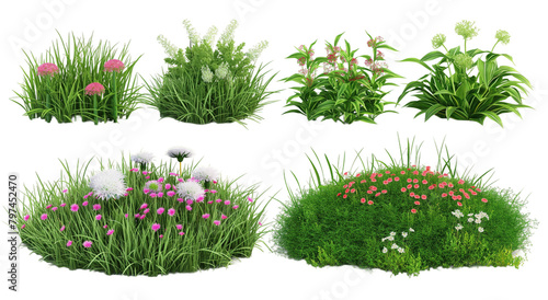 3d vector illustration of four different grass and flowers isolated transparent background PNG