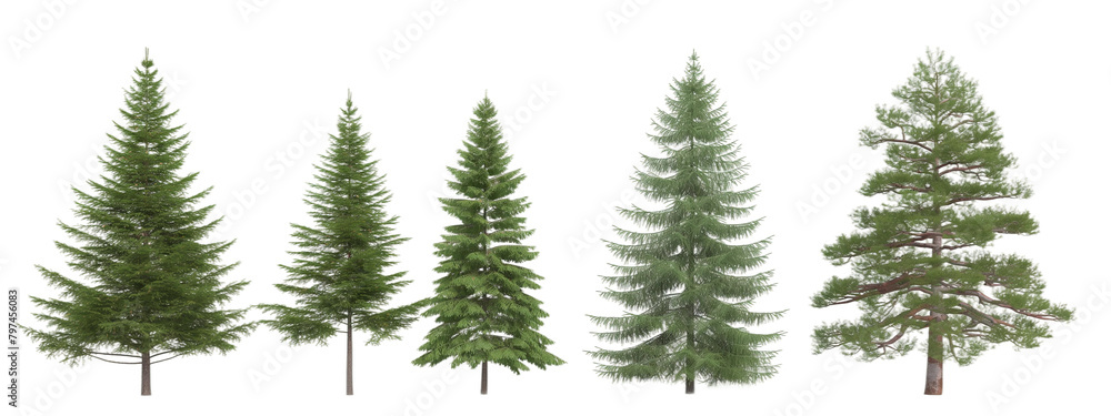 christmas tree transparent background PNG