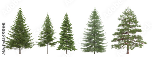 christmas tree transparent background PNG