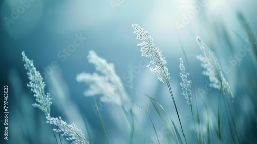 Blades of grass in a meadow softly swaying in the breeze, realistic focus on the textures and play of light