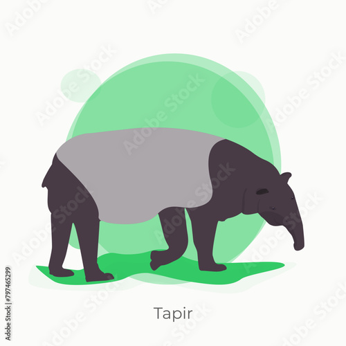 Asian tapir, Malayan tapir or indian tapirs is an Endangered Species, vector, illustration. Tapirs are large, herbivorous mammals belonging to the family Tapiridae.