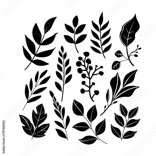 artistic display of various leaf patterns, presented in a striking black and white contrast, highlighting the intricate details of each leaf