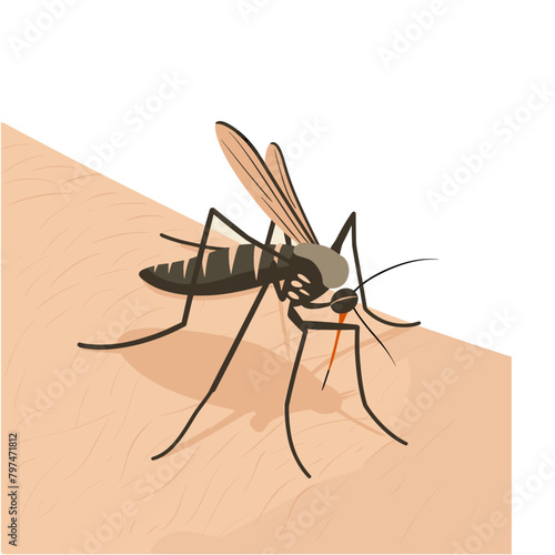 detailed illustration of a mosquito feeding on human skin, highlighting its slender body, long legs, and wings