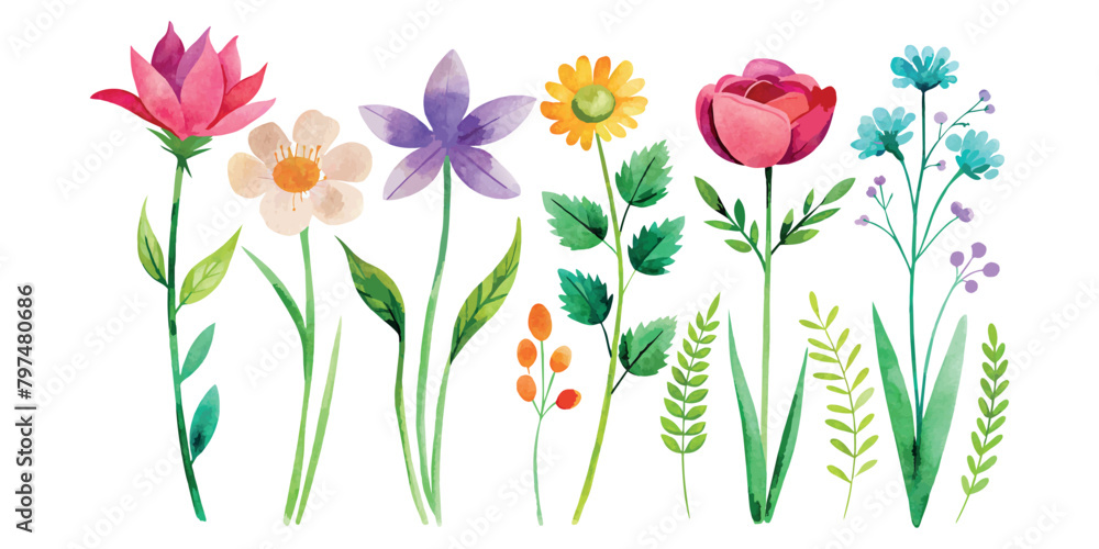 set of Hand drawn watercolor flowers set on an isolated white background