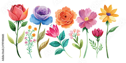 set of Hand drawn watercolor flowers set on an isolated white background