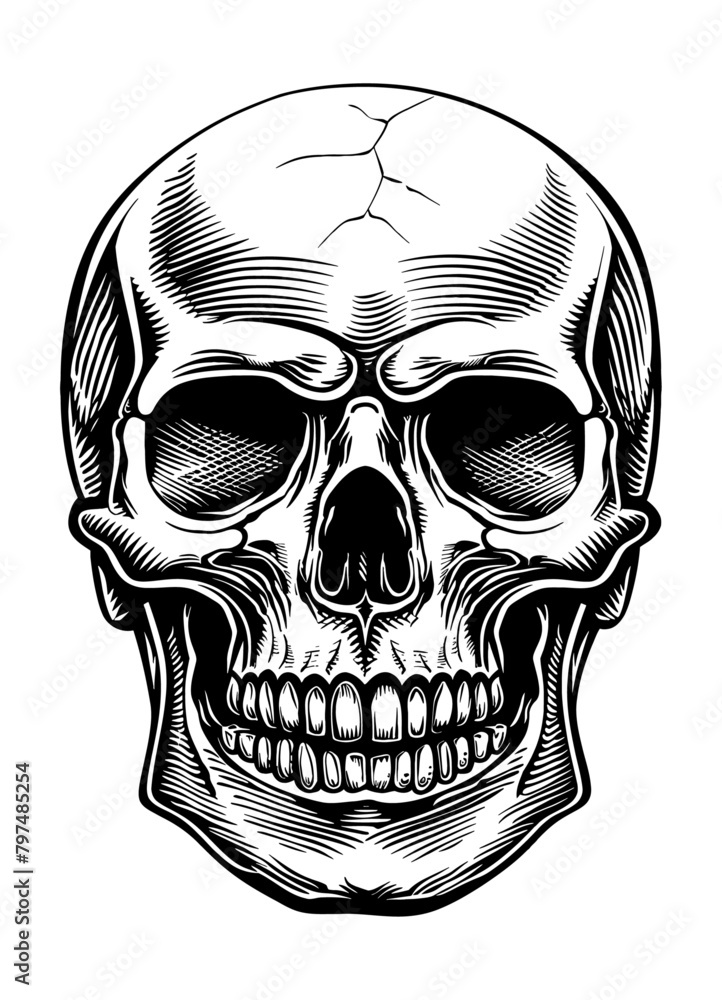 Obraz premium skull head engraving black and white outline